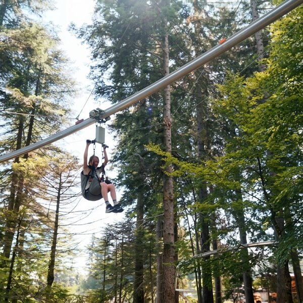 Zipline (1)
