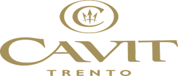Logo Cavit